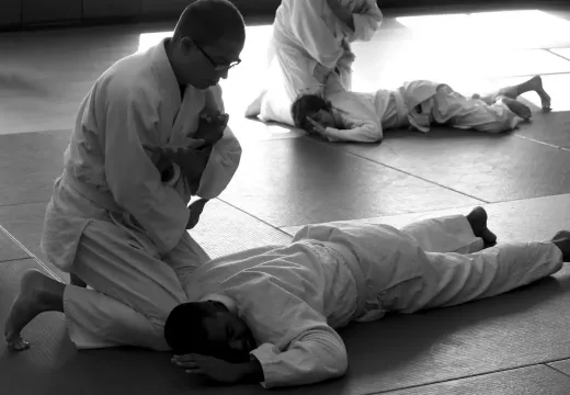 Mastering Hapkido: The Ultimate Self-Defense System with Dynamic Joint Locks